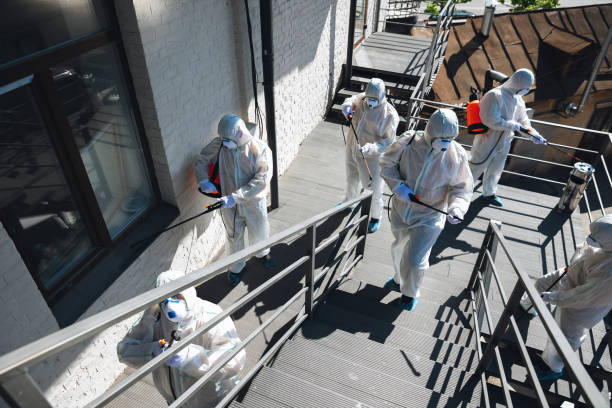 Grandview, MO Mold Removal Company