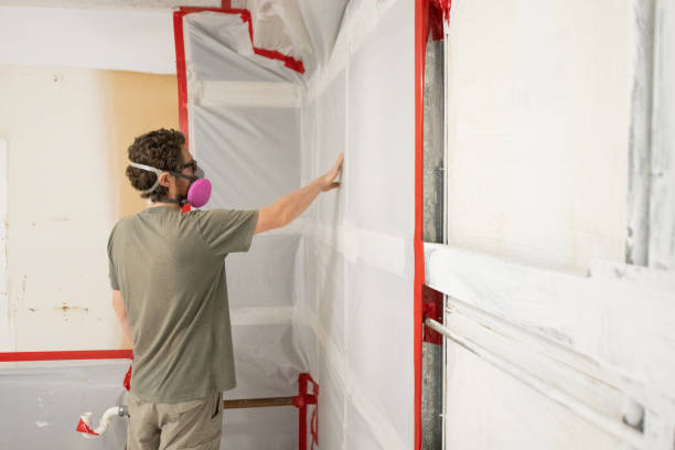 Mold Removal for HVAC Installations in Grandview, MO